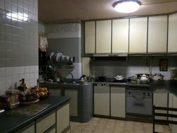 Blk 133 Geylang East Avenue 1 (Geylang), HDB Executive #127579352